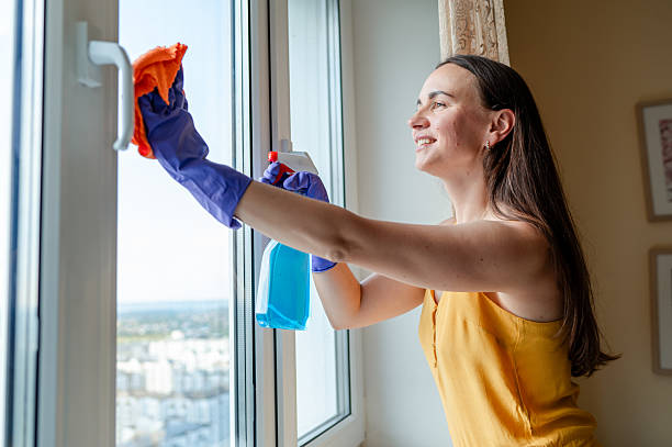 istock Smiling woman cleaning window on a sunny day 2236578084