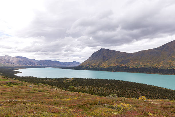 istock Lake Clark - Upper Twin Lake 2236579446