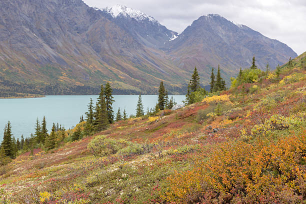 istock Lake Clark - Upper Twin Lake 2236579448