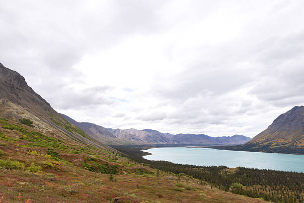 istock Lake Clark - Upper Twin Lake 2236579449