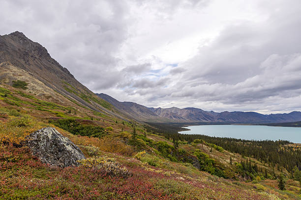 istock Lake Clark - Upper Twin Lake 2236579456