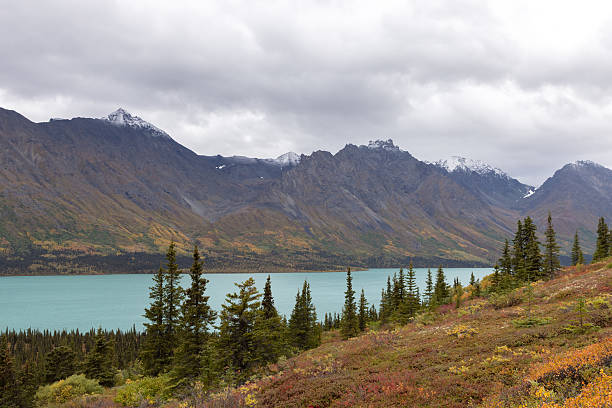 istock Lake Clark - Upper Twin Lake 2236579462