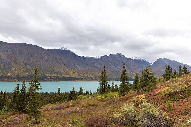 istock Lake Clark - Upper Twin Lake 2236579475