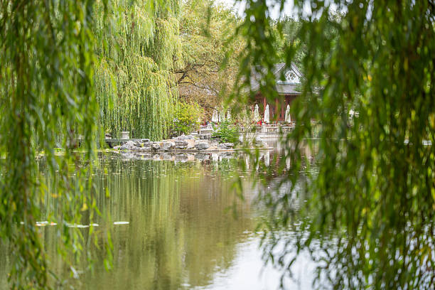 A traditional Chinese pavilion stands by the water, framed by weeping willows. The calm pond reflects the lush garden surroundings.