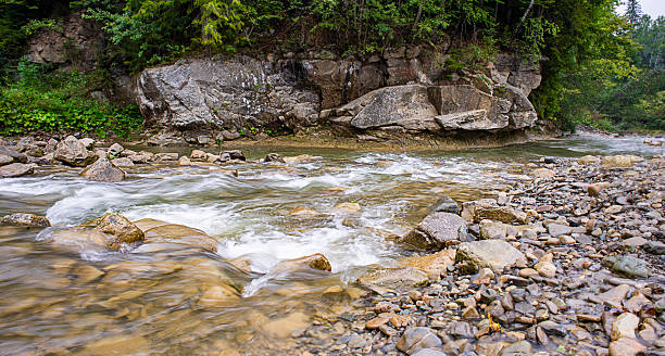 istock wide mountain river rocks and coniferous forest fir trees 2236584299