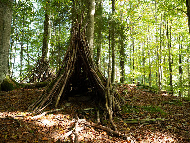 Primitive Hut Made of Tree Branches