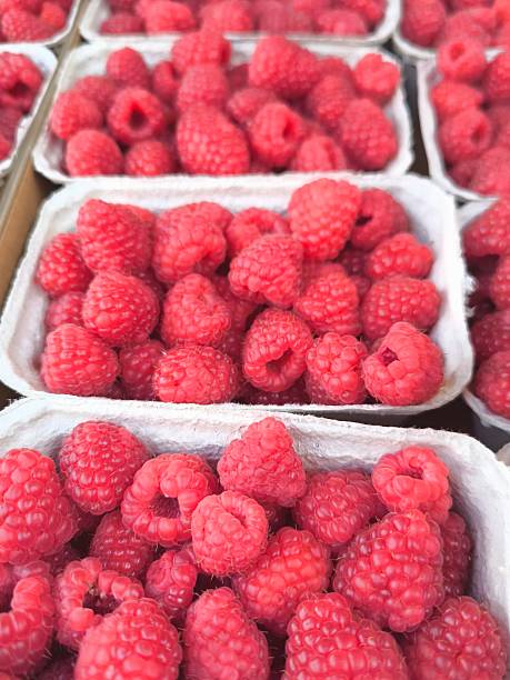 Fresh raspberries close-up