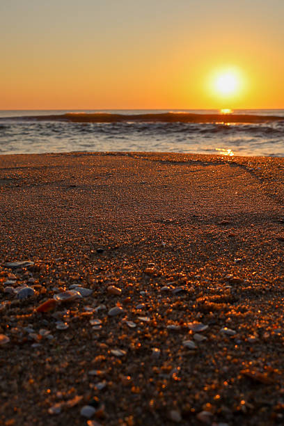 istock Golden sunrise and seashells 2236588890