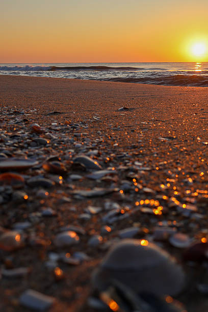 istock Golden seashell sunrise 2236588895
