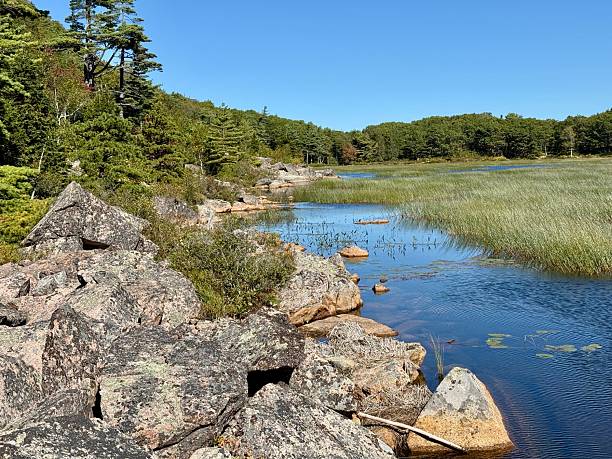 istock The Tarn, Acadia National Park 2236588913
