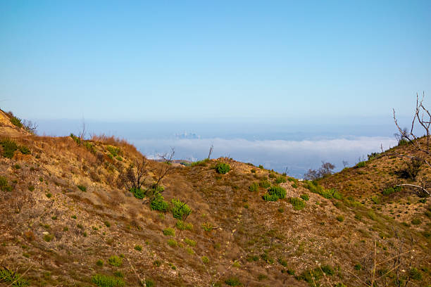 istock Los Angeles Skyline above the Marine Layer 2236594165
