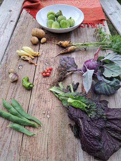 Mobile Shot September late Summer early autumn urban gardening Garden harvest vibrant colours diverse Wood table organic healthy selfgrown