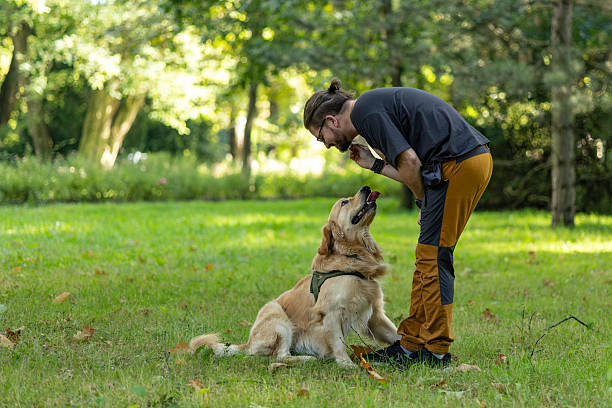 A man with a dog nods and engages in a friendly training moment in a sunlit park, capturing trust, companionship, and outdoor activity.