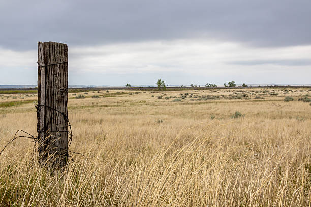 istock Fence post in field on a stormy summer day 2236600158