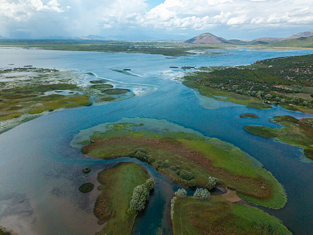 Aerial photo of a river delta with green wetlands and small islands. Scenic natural landscape with water channels and vegetation. Beautiful outdoor environment with mountains in the distance.