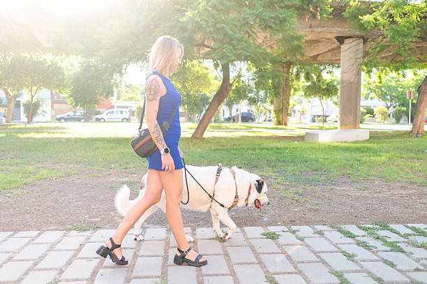 Woman and dog enjoying a walk together on a sunny day in the park