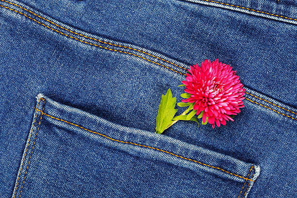 istock a pink aster flower in a denim pants pocket 2236612462