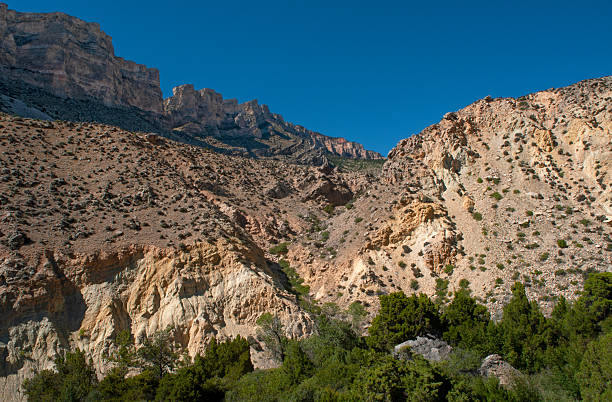 istock Bighorn National Forest in Wyoming 2236614697