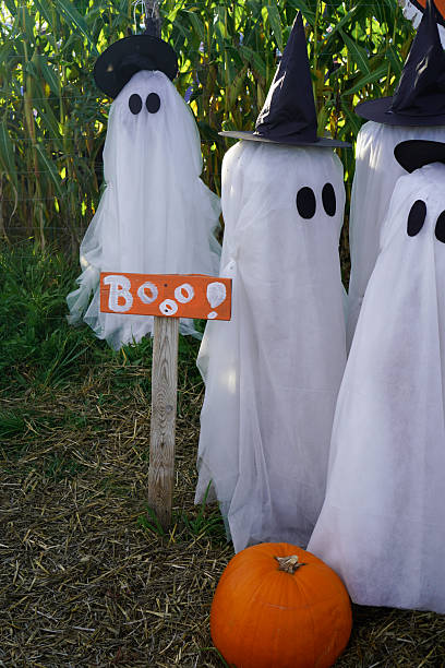 istock Ghosts with pumpkins in a field against a backdrop of corn on Halloween 2236614895