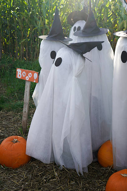 istock Ghosts with pumpkins in a field against a backdrop of corn on Halloween 2236614938