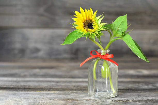Sunflowers on wood