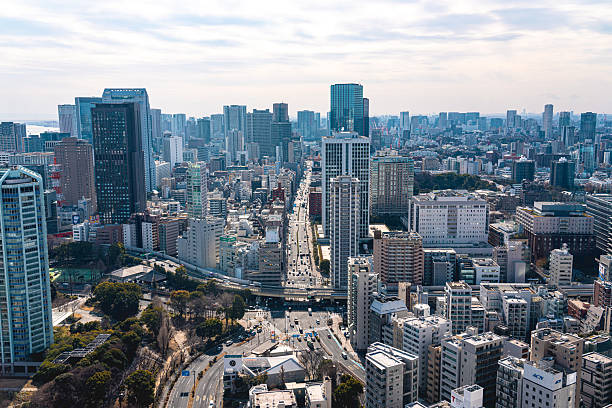 istock Looking Down at Tokyo, Japan Highways and Buildings 2236618659