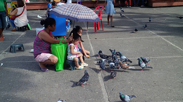 People feeding the birds in Davao City, Philippines on October 30, 2017