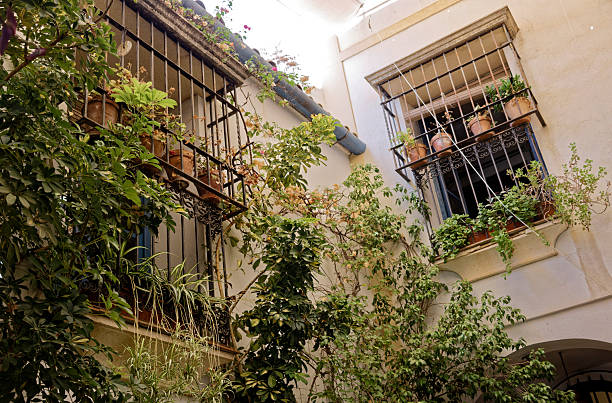 Flowerpots and potted plants in a row on a street in the old town El Barrio area of Alicante, on Spain's Costa Blanca.