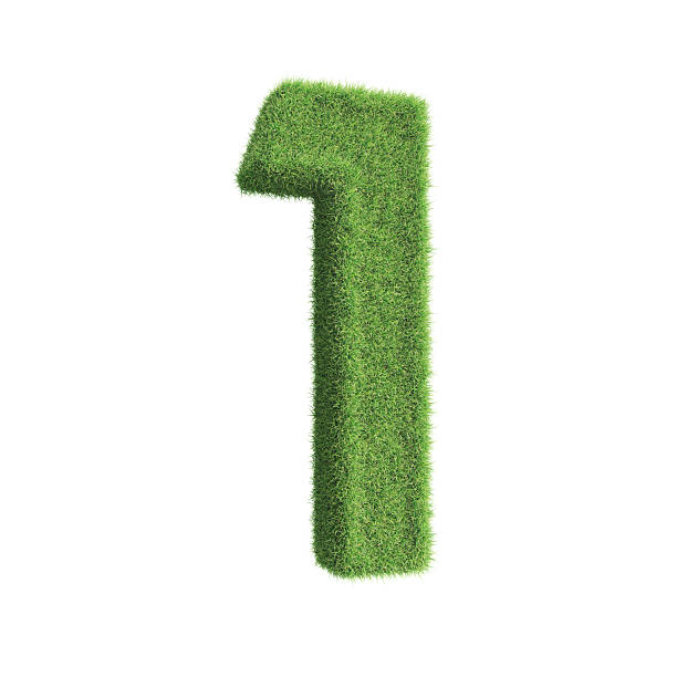 3d Render 1 Number of Grass, İsolated On White And Clipping Path, The Concept of Green Technology and Sustainability