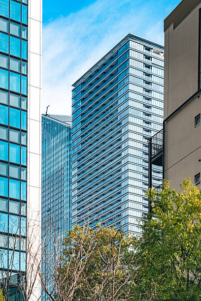 istock Tokyo urban architecture with modern glass skyscrapers and trees 2236623369
