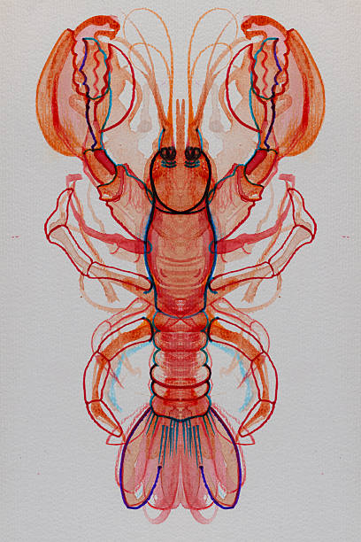 lobster illustration drawn with watercolors