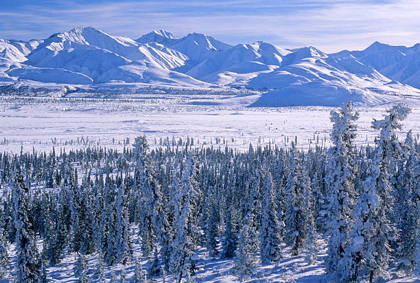 Winter in Wrangell-St. Elias National Park, Alaska