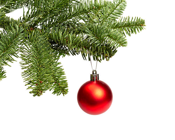 istock Christmas tree branch with festive balls isolated on white 2236629860