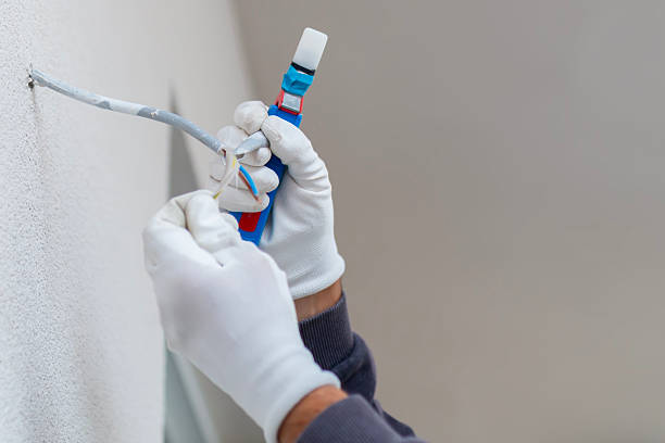 istock An electrician removes insulation from a copper wire. Working with the tool. 2236631424