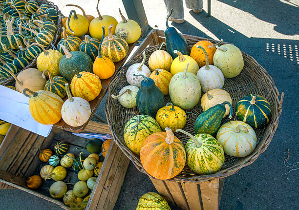 Decorative pumpkins in Tbilisi on Tbilisi Day - funny but them  are soon gifts.