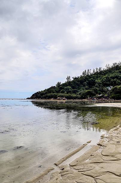 istock Seychelles beach at low tide with tropical vegetation 2236631888