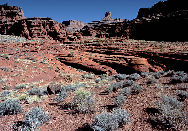 A view of rock formations in Canyonlands National Park