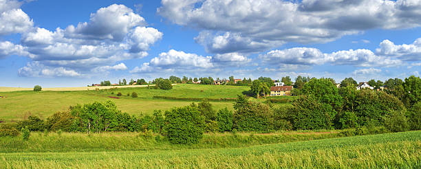 A picturesque view of vibrant green meadows extending under a bright blue sky adorned with fluffy clouds, dotted with quaint rural houses and abundant deciduous trees contributing to a tranquil countryside atmosphere.