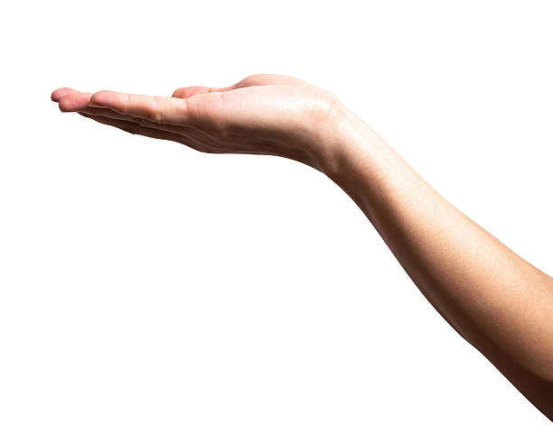 istock Male hand reach and ready to help or receive. Gesture isolated on white background. 2236644552