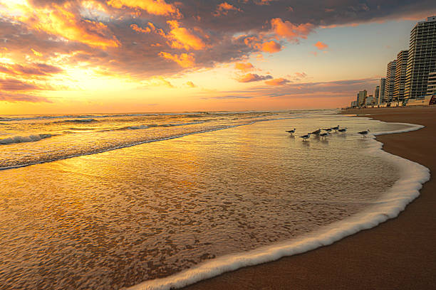 Sunrise on a Florida Beach