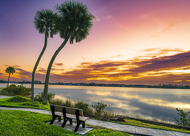 istock Palm tree in front of a Florida sunrise 2236647249