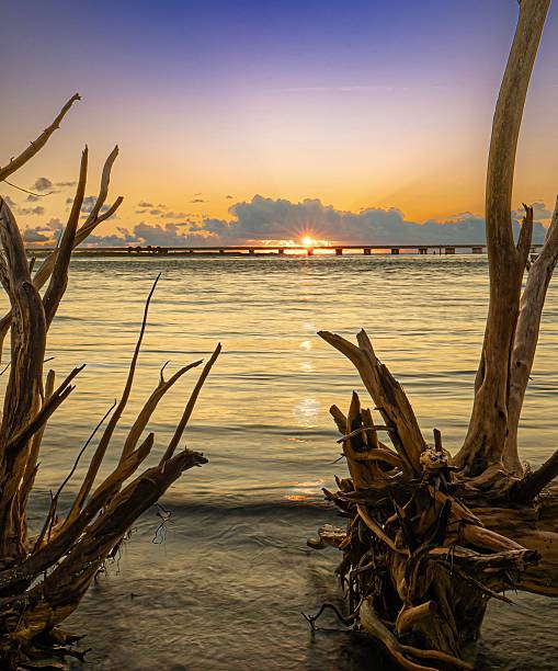 istock Sunrise over A1A bridge in Florida 2236647268