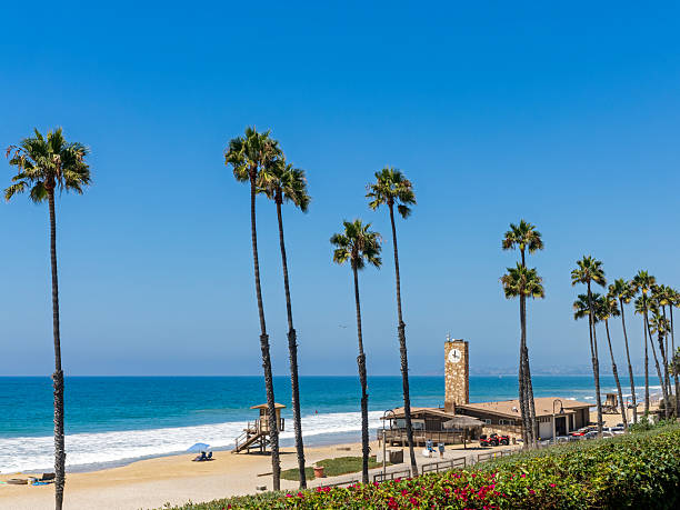 istock California Beach with palm trees, life guard headquarters and a clock tower under blue sky. 2236650653