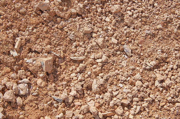 istock Dry brown dirt and small rocks texture 2236650940