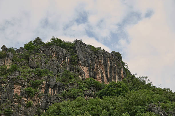 Rugged cliff face featuring trees and shrubs under a textured sky, portraying raw nature