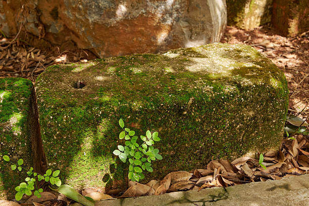 A natural stone table set against a lush green hedge, perfect for outdoor gatherings and relaxation.