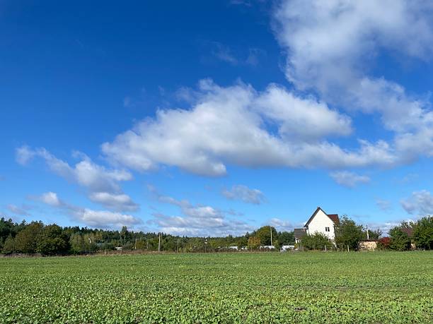 istock Autumn panorama of rural field 2236655679