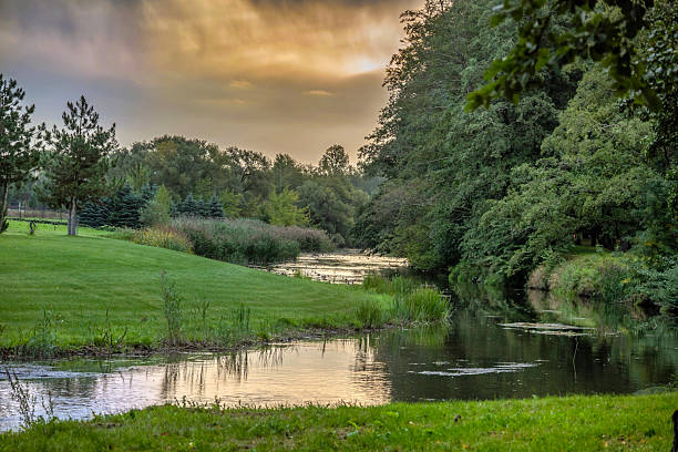 istock Serene Stream in a Forested Park at Sunset with Lush Greenery 2236657974