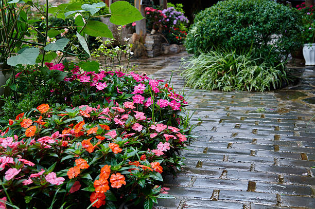 Wet stone path with vibrant impatiens and green plants in a tranquil garden setting