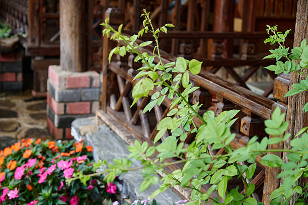 Fresh green plant leaves with a rustic wooden railing and vibrant flowers creating a tranquil garden scene